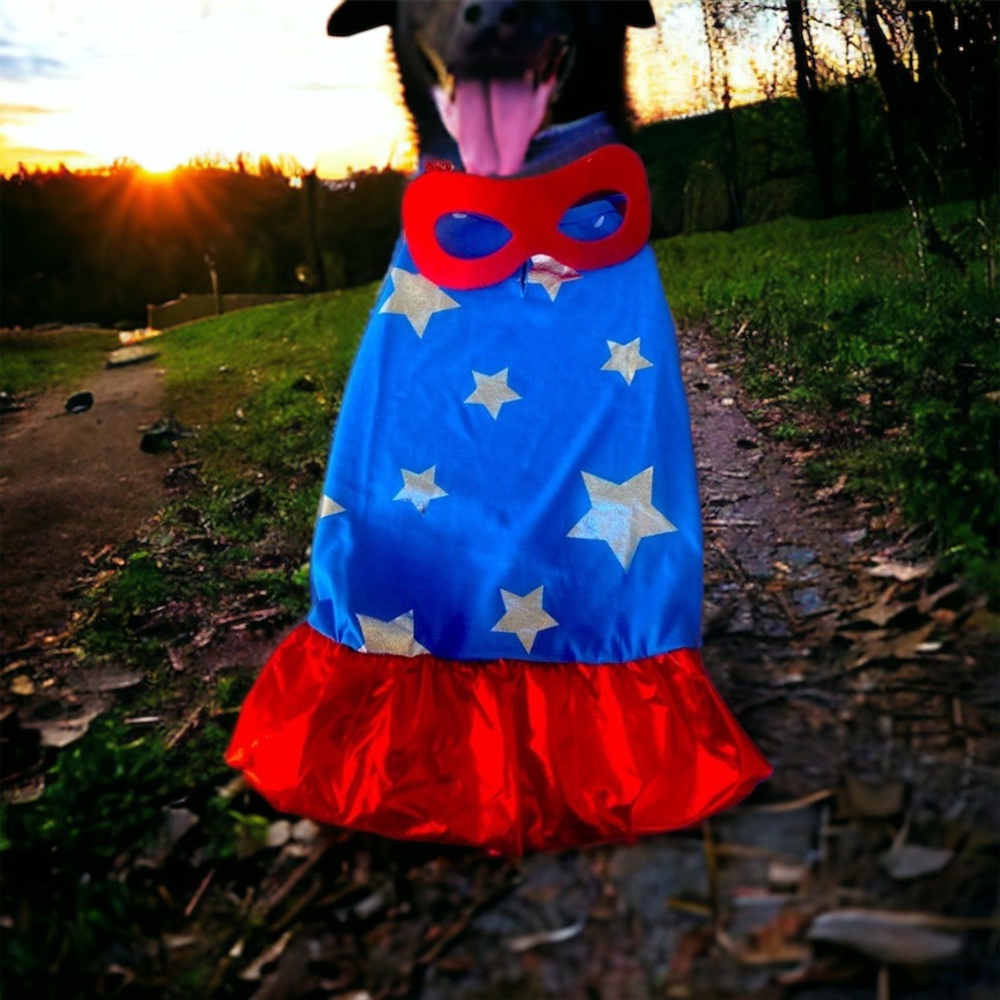 Dog Superhero Cape Halloween Hoodie Costume | Size Medium | Pets